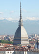 Turin Italy Wall Decal