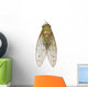 Cicada Wall Decal