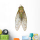 Cicada Wall Decal