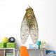 Cicada Wall Decal