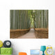 Kyoto Bamboo Grove Wall Decal