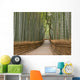 Kyoto Bamboo Grove Wall Decal