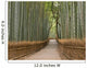 Kyoto Bamboo Grove Wall Decal
