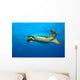 Sxm9 Wall Decal