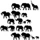 With Elephants Silhouettes Wall Decal
