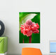 Torch Ginger Etlingera Elatior Wall Decal