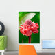 Torch Ginger Etlingera Elatior Wall Decal