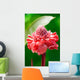 Torch Ginger Etlingera Elatior Wall Decal