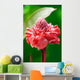 Torch Ginger Etlingera Elatior Wall Decal
