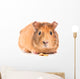 Guinea Pig with Seeds Wall Decal