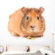 Guinea Pig with Seeds Wall Decal
