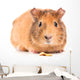 Guinea Pig with Seeds Wall Decal