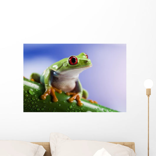 Tree Frog Close-up Wall Decal