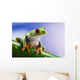 Tree Frog Close-up Wall Decal
