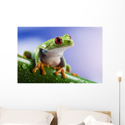 Tree Frog Close-up Wall Decal