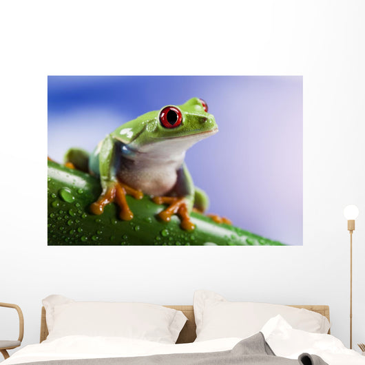Tree Frog Close-up Wall Decal