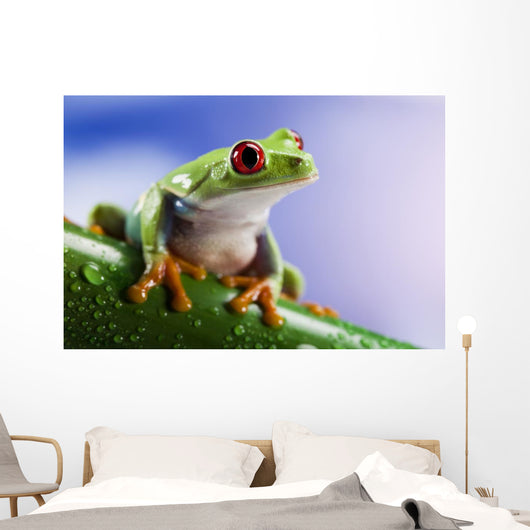 Tree Frog Close-up Wall Decal