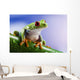 Tree Frog Close-up Wall Decal