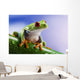 Tree Frog Close-up Wall Decal