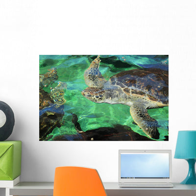 Green Sea Turtle Head Wall Decal shown on a wall
