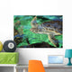 Green Sea Turtle Head Wall Decal