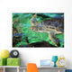 Green Sea Turtle Head Wall Decal
