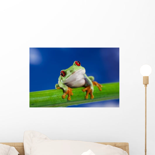 Tree Frog on Bamboo Wall Decal