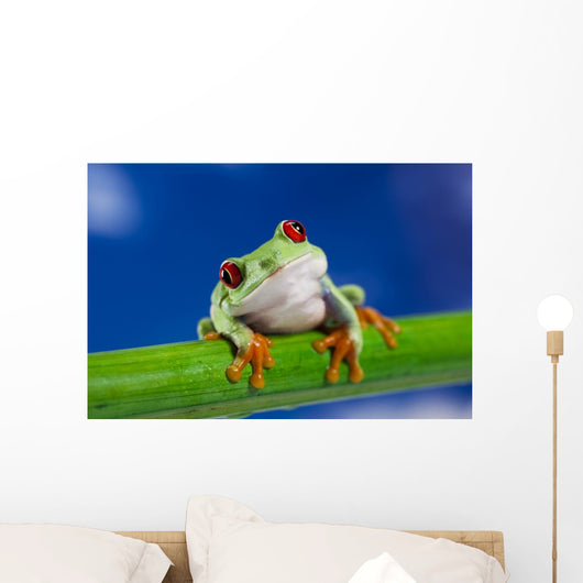 Tree Frog on Bamboo Wall Decal