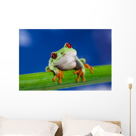 Tree Frog on Bamboo Wall Decal