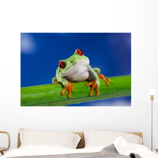 Tree Frog on Bamboo Wall Decal