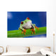 Tree Frog on Bamboo Wall Decal