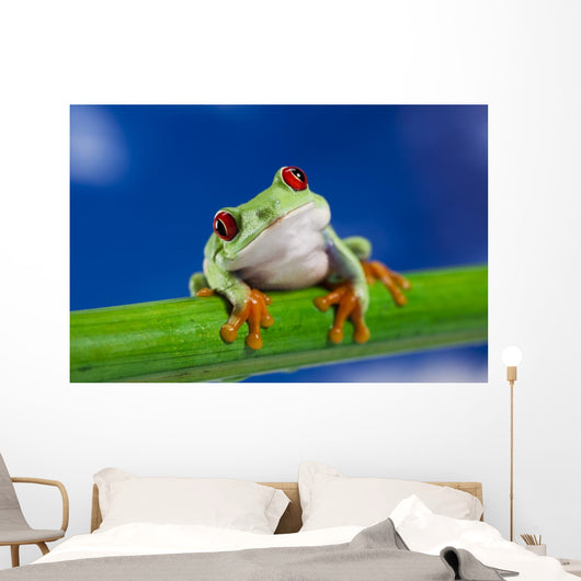 Tree Frog on Bamboo Wall Decal