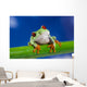 Tree Frog on Bamboo Wall Decal