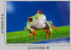 Tree Frog on Bamboo Wall Decal