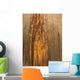 Beautiful Wood Texture Close-up Wall Decal