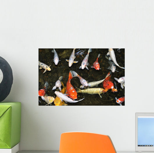 Koi Pond with Fish Wall Decal