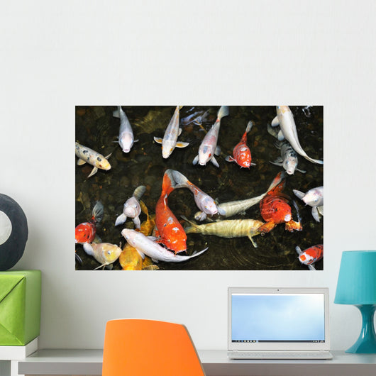 Koi Pond with Fish Wall Decal