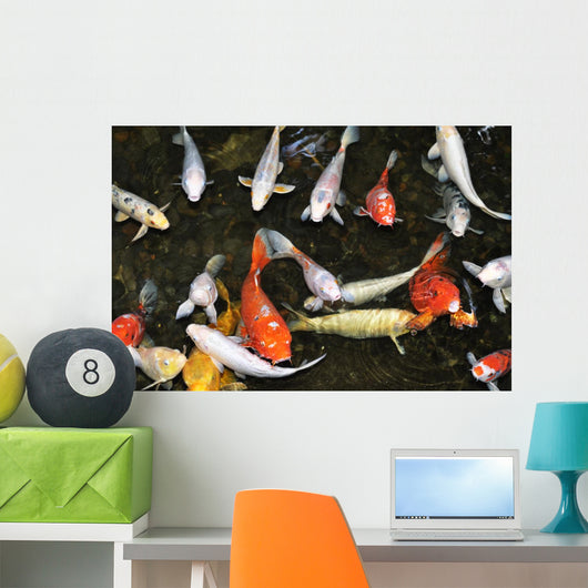Koi Pond with Fish Wall Decal
