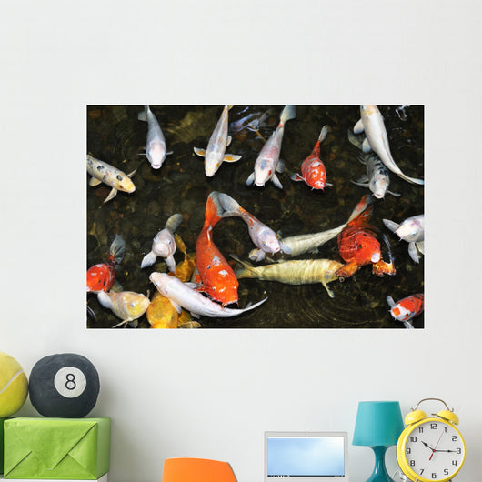 Koi Pond with Fish Wall Decal