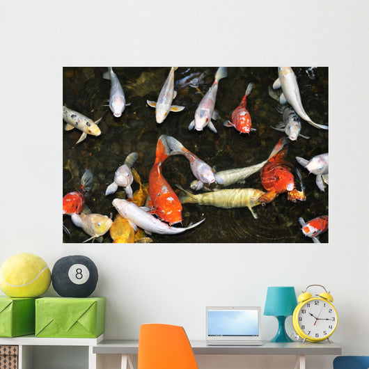 Koi Pond with Fish Wall Decal