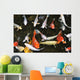 Koi Pond with Fish Wall Decal