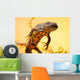Great Crested New or Wall Decal