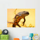 Great Crested New or Wall Decal
