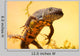 Great Crested New or Wall Decal
