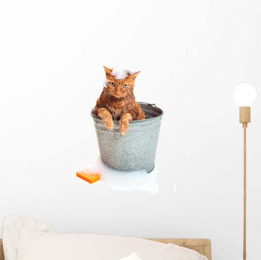 Bath Time for Wet Wall Decal