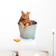 Bath Time for Wet Wall Decal