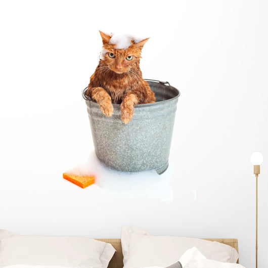 Bath Time for Wet Wall Decal