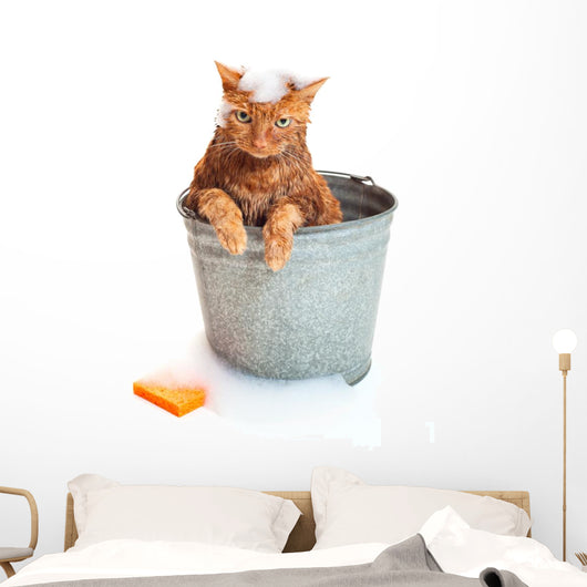 Bath Time for Wet Wall Decal
