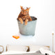 Bath Time for Wet Wall Decal