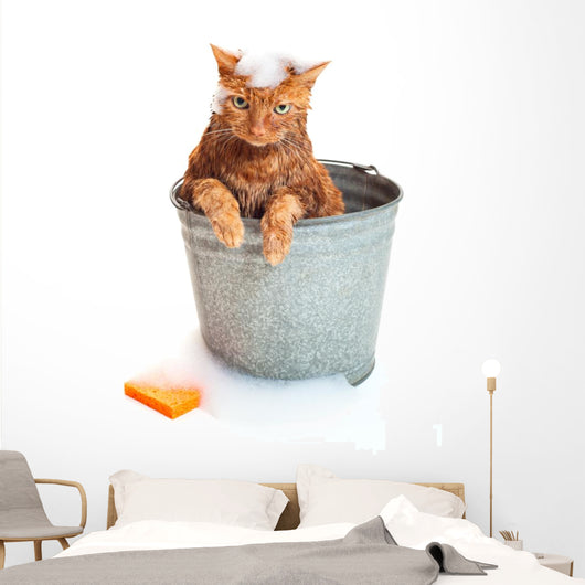 Bath Time for Wet Wall Decal